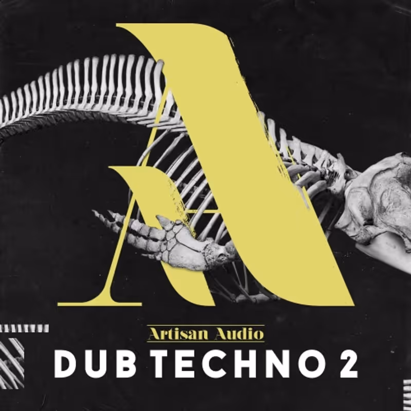 Interface of Artisan Audio - Dub Techno 2 by Loopmasters