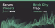 Patchworx Brick City Trap - Serum Presets