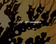 Leap Expansion - Afrobeats
