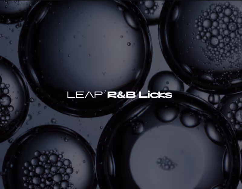 Interface of Leap Expansion - RnB Licks by Native Instruments