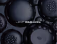 Leap Expansion - RnB Licks