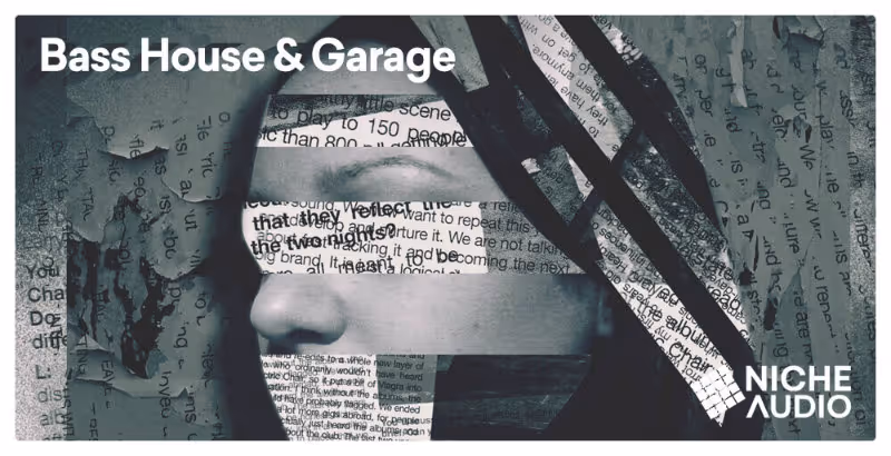 Interface of Bass House & Garage by Niche Audio